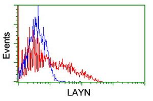 m10853 layn_ primary antibodies fcm testing 2