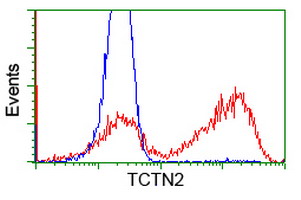 HEK293T cells transfected with either TCTN2 (Myc-DDK-tagged) overexpress plasmid (Red) or empty vector control plasmid (Blue) were immunostained by anti-TCTN2 antibody (M11196)