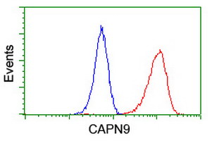 m11197 anti calpain 9 capn9 mouse monoclonal antibody clone id oti2g1 flow cytometry testing 5