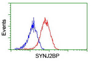 m11249 anti synj2bp mouse monoclonal antibody clone id oti3a9 flow cytometry testing 3