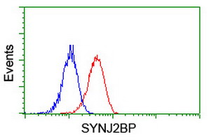 m11249 anti synj2bp mouse monoclonal antibody clone id oti3a9 flow cytometry testing 4
