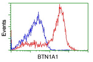 m11266 anti btn1a1 mouse monoclonal antibody clone id oti7b5 flow cytometry testing 12