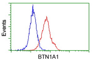 m11266 anti btn1a1 mouse monoclonal antibody clone id oti7b5 flow cytometry testing 13