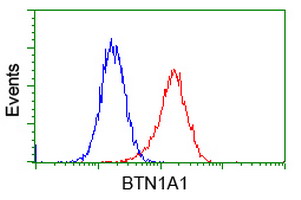 m11266 anti btn1a1 mouse monoclonal antibody clone id oti7b5 flow cytometry testing 14