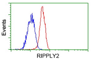 Flow cytometric Analysis of Jurkat cells