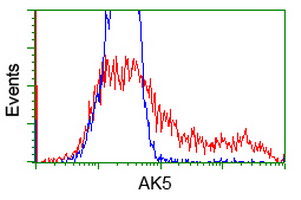 m11378 anti adenylate kinase 5 ak5 mouse monoclonal antibody clone id oti2f9 flow cytometry testing 20