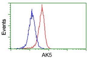 m11378 anti adenylate kinase 5 ak5 mouse monoclonal antibody clone id oti2f9 flow cytometry testing 21