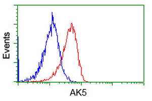 m11378 anti adenylate kinase 5 ak5 mouse monoclonal antibody clone id oti2f9 flow cytometry testing 22