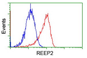 m11618 anti c5orf19 reep2 mouse monoclonal antibody clone id oti2c7 flow cytometry testing 10