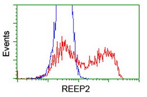 m11618 anti c5orf19 reep2 mouse monoclonal antibody clone id oti2c7 flow cytometry testing 8