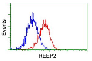 m11618 anti c5orf19 reep2 mouse monoclonal antibody clone id oti2c7 flow cytometry testing 9