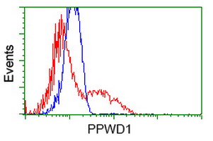 m11798 1 anti ppwd1 mouse monoclonal antibody clone id oti1b8 flow cytometry testing 3
