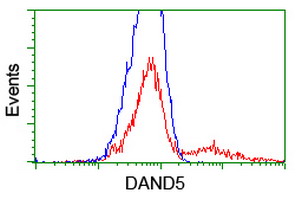 m11812 anti dand5 mouse monoclonal antibody clone id oti2h3 flow cytometry testing 6
