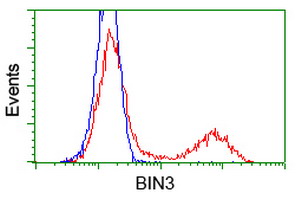 m11817 2 anti bin3 mouse monoclonal antibody clone id oti5e3 flow cytometry testing 4