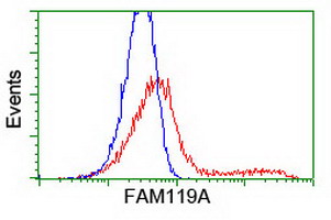 m11825 anti fam119a mettl21a mouse monoclonal antibody clone id oti2g7 flow cytometry testing 4