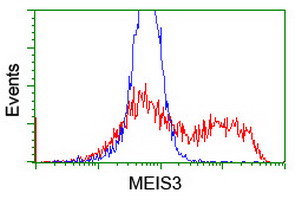 m11850 1 anti meis homeobox 3 meis3 mouse monoclonal antibody clone id oti2e12 flow cytometry testing 5