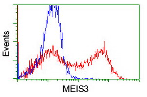 m11850 anti meis homeobox 3 meis3 mouse monoclonal antibody clone id oti1b2 flow cytometry testing 7