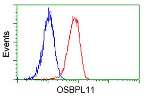 m11851 anti osbpl11 mouse monoclonal antibody clone id oti6a6 flow cytometry testing 3