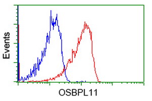 m11851 anti osbpl11 mouse monoclonal antibody clone id oti6a6 flow cytometry testing 4