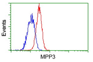 Flow cytometric Analysis of Jurkat cells
