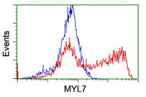 m11956 anti myl7 mouse monoclonal antibody clone id oti4e7 flow cytometry testing 6