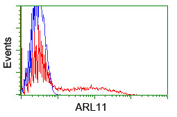 HEK293T cells transfected with either ARL11 (Myc-DDK-tagged) overexpress plasmid (Red) or empty vector control plasmid (Blue) were immunostained by anti-ARL11 antibody (M11959)