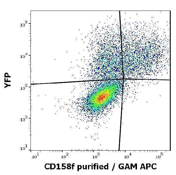Flow cytometry surface staining pattern of KIR2DL5A (CD158f) transfected HEK-293 cells co-transfected with YFP coding plasmid using anti-human CD158f (UP-R1) purified antibody (concentration in sample 4 µg/ml, GAM APC)