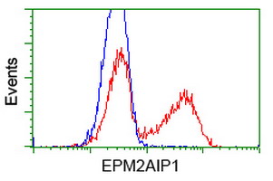 m12427 2 anti epm2aip1 mouse monoclonal antibody clone id oti1f11 flow cytometry testing 5