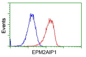 m12427 2 anti epm2aip1 mouse monoclonal antibody clone id oti1f11 flow cytometry testing 6