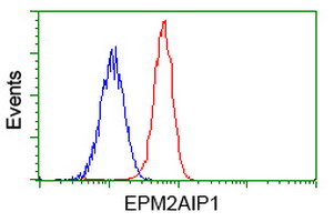 m12427 2 anti epm2aip1 mouse monoclonal antibody clone id oti1f11 flow cytometry testing 7