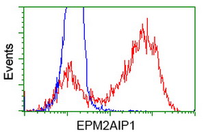 m12427 anti epm2aip1 mouse monoclonal antibody clone id oti2g3 flow cytometry testing 18