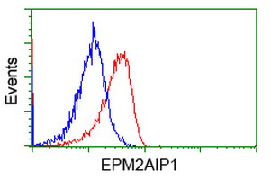m12427 anti epm2aip1 mouse monoclonal antibody clone id oti2g3 flow cytometry testing 19