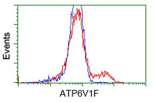 m12432 anti atp6v1f mouse monoclonal antibody clone id oti1b8 flow cytometry testing 11