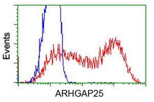 m12463 anti arhgap25 mouse monoclonal antibody clone id oti12g4 flow cytometry testing 17