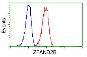m12678 anti zfand2b mouse monoclonal antibody clone id oti1g10 flow cytometry testing 4