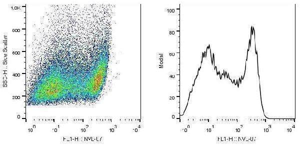 m12849 scimp primary antibodies fc testing 4
