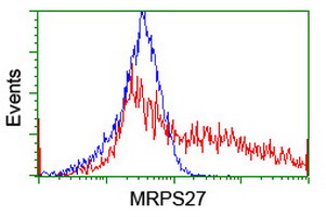m12929 anti mrps27 mouse monoclonal antibody clone id oti6e5 flow cytometry testing 14