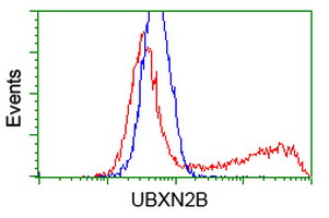 m12989 anti ubxn2b mouse monoclonal antibody clone id oti1f7 flow cytometry testing 4