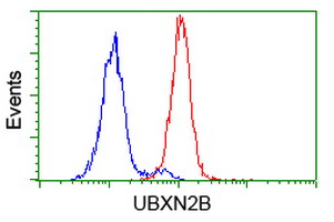 m12989 anti ubxn2b mouse monoclonal antibody clone id oti1f7 flow cytometry testing 5