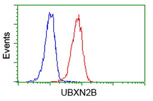m12989 anti ubxn2b mouse monoclonal antibody clone id oti1f7 flow cytometry testing 6
