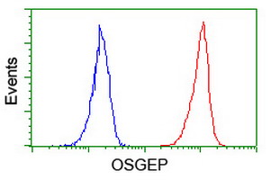 m13000 1 anti osgep mouse monoclonal antibody clone id oti9e3 flow cytometry testing 10