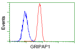 m13005 anti grasp1 gripap1 mouse monoclonal antibody clone id oti1e3 flow cytometry testing 3