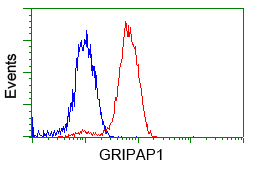 m13005 anti grasp1 gripap1 mouse monoclonal antibody clone id oti1e3 flow cytometry testing 4