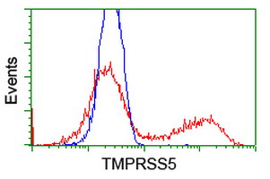 m13061 anti tmprss5 mouse monoclonal antibody clone id oti4a11 flow cytometry testing 2