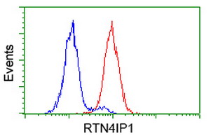 m13135 anti rtn4ip1 mouse monoclonal antibody clone id oti3b2 flow cytometry testing 10