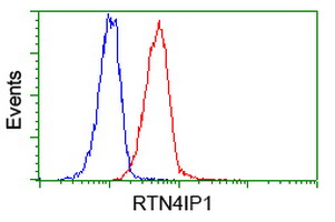 m13135 anti rtn4ip1 mouse monoclonal antibody clone id oti3b2 flow cytometry testing 11