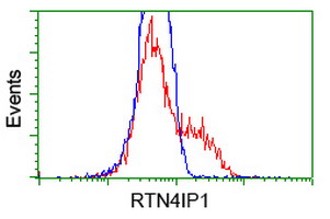 m13135 anti rtn4ip1 mouse monoclonal antibody clone id oti3b2 flow cytometry testing 9
