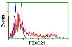 m13227 anti fbxo21 mouse monoclonal antibody clone id oti5h4 flow cytometry testing 13