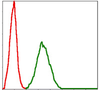 m13425 commd3 primary antibodies fcm testing 1