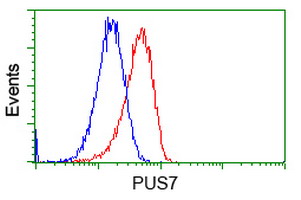 m13434 anti pus7 mouse monoclonal antibody clone id oti4c6 flow cytometry testing 4